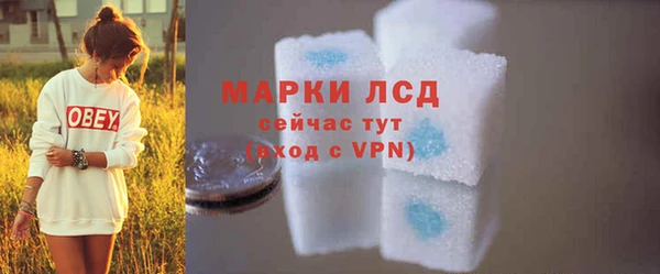 стаф Магас