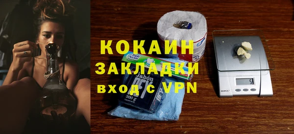 стаф Магас