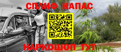 гидра Балахна