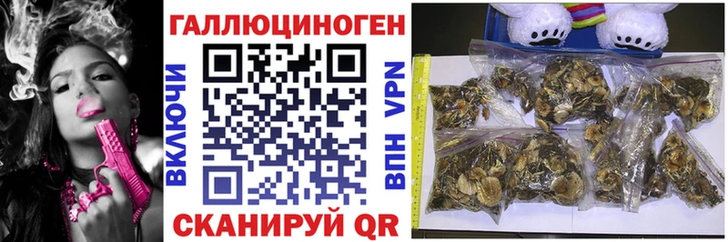 Галлюциногенные грибы ЛСД Лыткарино