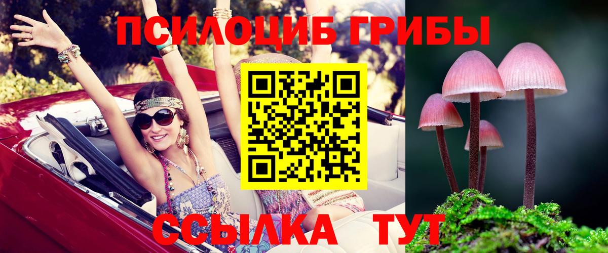 Галлюциногенные грибы Magic Shrooms  Лыткарино  где купить наркотик  Галлюциногенные грибы Cubensis 