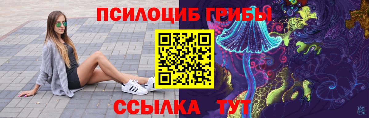 Псилоцибиновые грибы Psilocybine cubensis  Вход с VPN  Лыткарино 